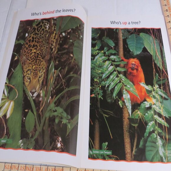 Up, Down, All Around BIG BOOK (almost 2 feet tall) with teacher pages CLASSROOM - Picture 3 of 14